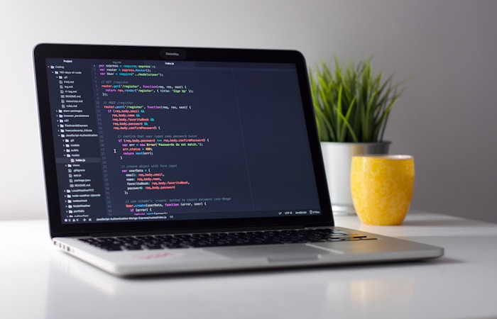 Developer workspace
